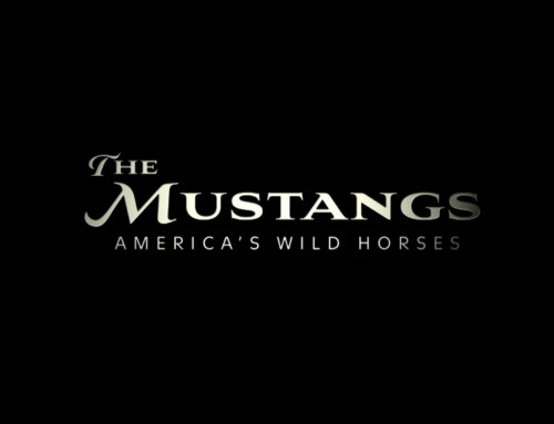 The Mustangs: America’s Wild Horses