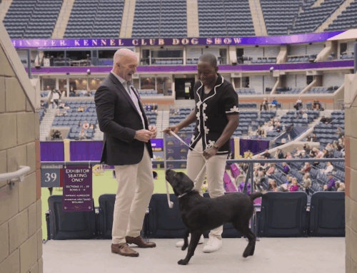 Table For All with Buki Elegbede Canine and Teacher Appreciation S2 E2