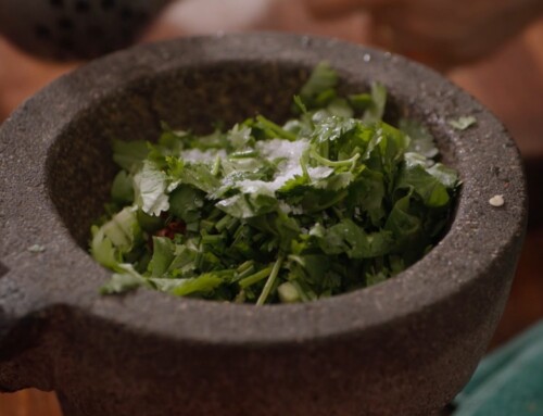 Pati’s Mexican Table Building the Future Season 14 Episode 6